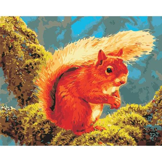 Paint By Numbers For Adults squirrel
