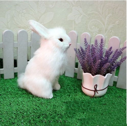 Simulation Animal Rabbit Model Children Mini