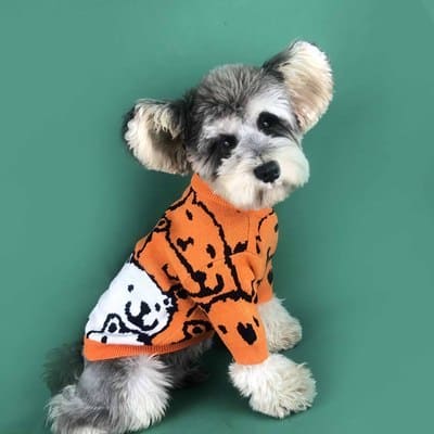 Cute Dog Fleece Sweater Autumn And Winter Pet Clothing